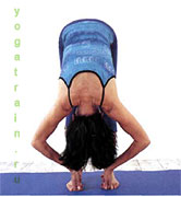 Падангуштхасана Падангуштхасана