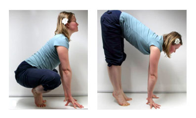 Лягушка Лягушка