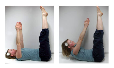 Древо жизни Древо жизни