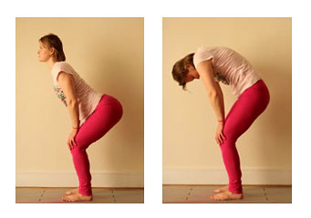 Прогибы Прогибы