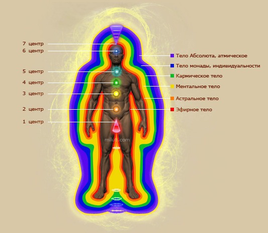 Система тел Человека