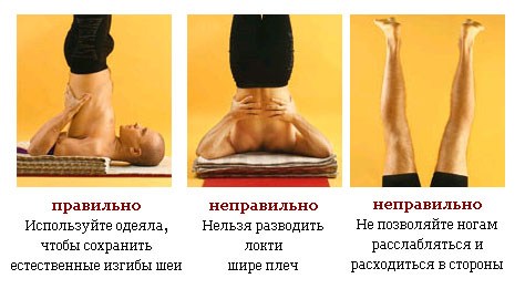 Корректировка Саламба Сарвангасана